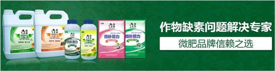#微肥課堂#為什么葉面肥養分含量相同，效果卻不同？