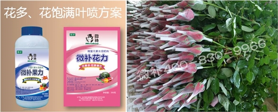 花卉也需要微補嗎？