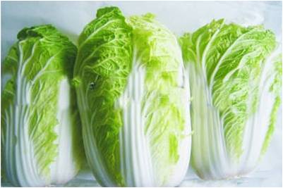#微肥課堂#白菜類(lèi)蔬菜對哪些營(yíng)養元素敏感？