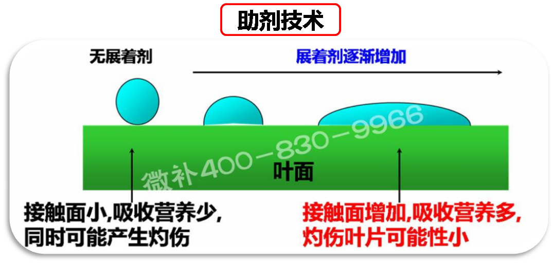 余教授德國鄉村行：我在德國為什么不會(huì )點(diǎn)啤酒了？