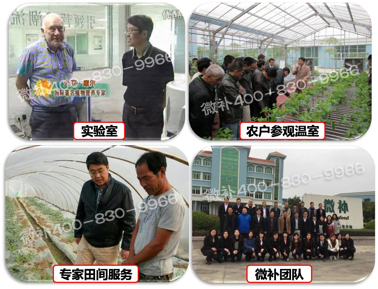 余教授奧地利維也納行：不懂音樂(lè )的農民教授，在音樂(lè )之都的感受