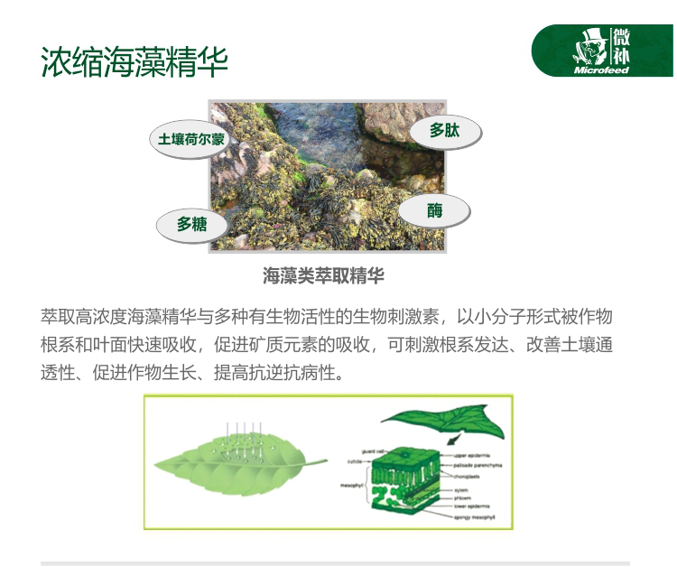 微補全力-_02.jpg 微補全力-_02.jpg