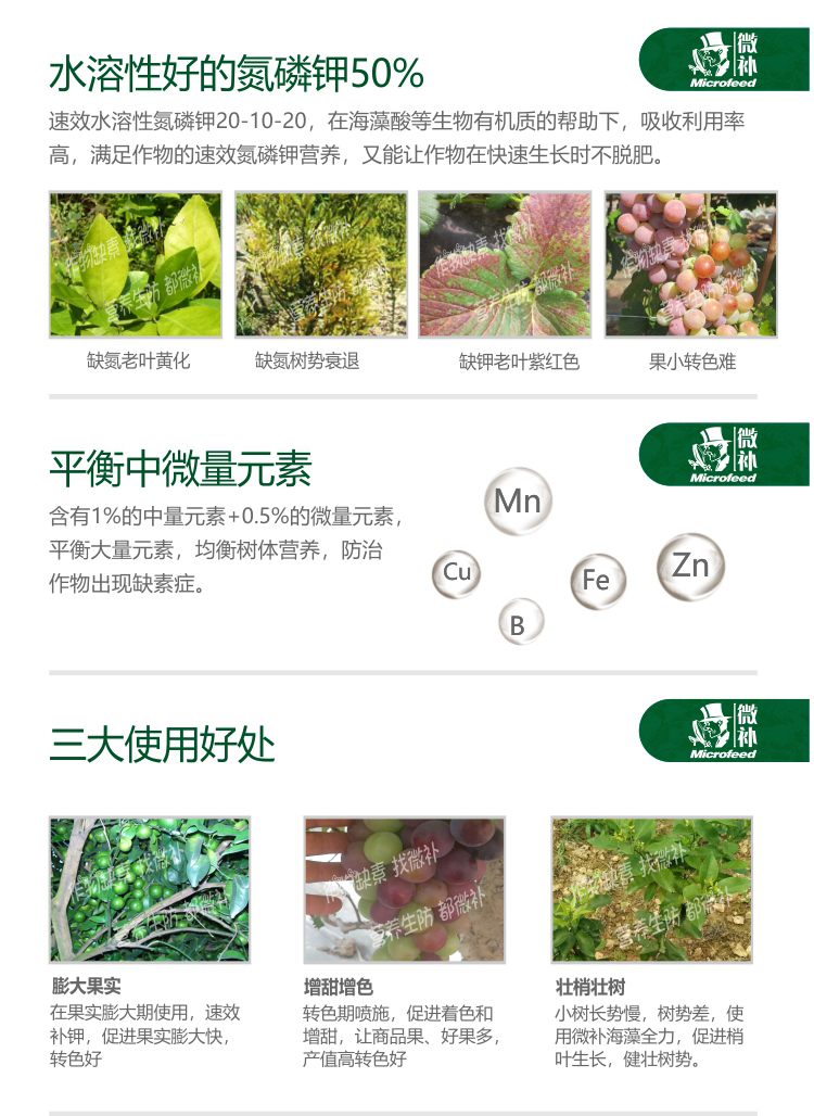 微補全力-_03.jpg 微補全力-_03.jpg