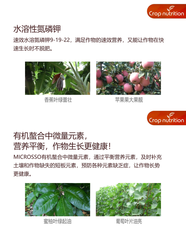 因迪樂(lè )精華粉詳情2_03.jpg 因迪樂(lè )精華粉詳情2_03.jpg