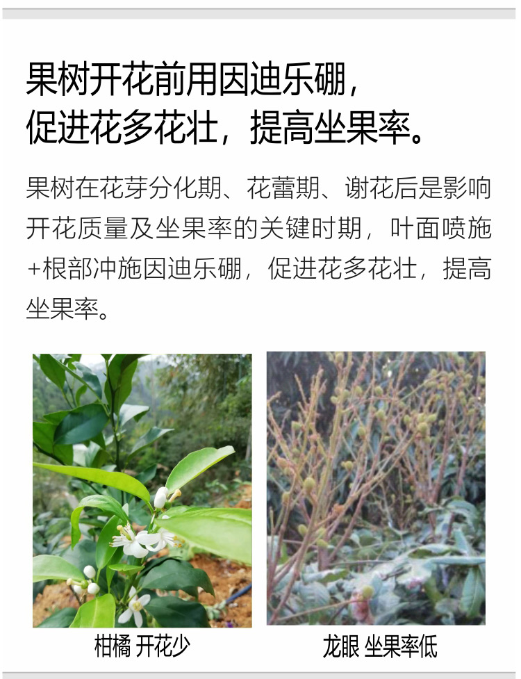 因迪樂(lè )有機海藻硼750_05.jpg