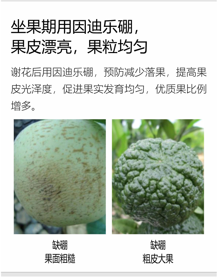 因迪樂(lè )有機海藻硼750_06.jpg