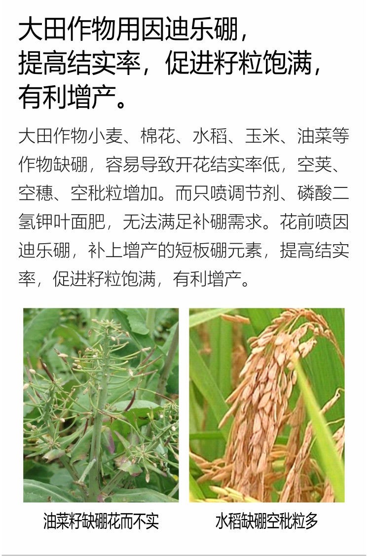 因迪樂(lè )有機海藻硼750_07.jpg