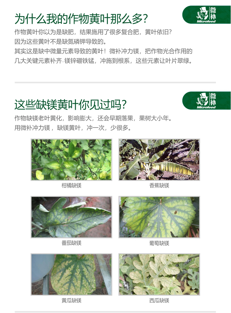 微補沖力鎂_02.jpg 微補沖力鎂_02.jpg