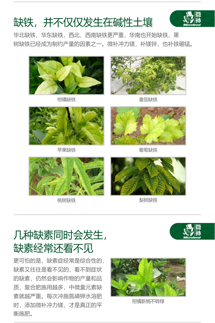 微補沖力鎂_04.jpg 微補沖力鎂_04.jpg