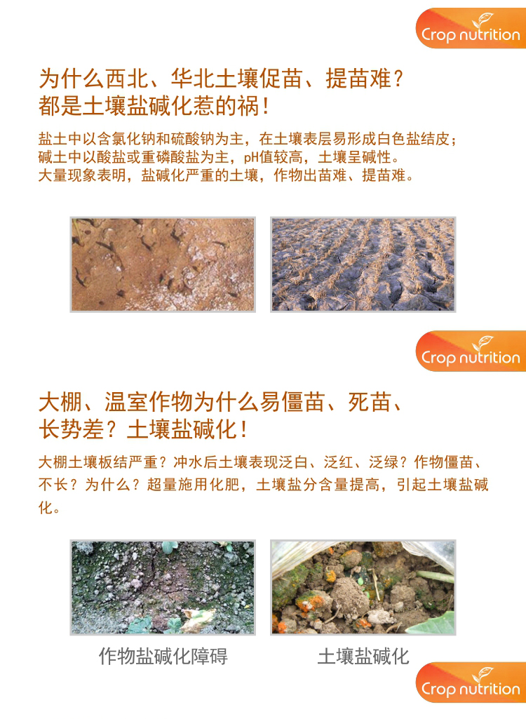 因迪樂(lè )有機鹽堿土調理水溶肥1_02.jpg 因迪樂(lè )有機鹽堿土調理水溶肥1_02.jpg