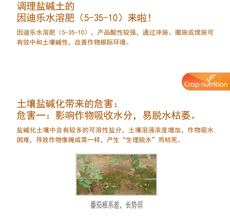 因迪樂(lè )有機鹽堿土調理水溶肥1_03.jpg 因迪樂(lè )有機鹽堿土調理水溶肥1_03.jpg
