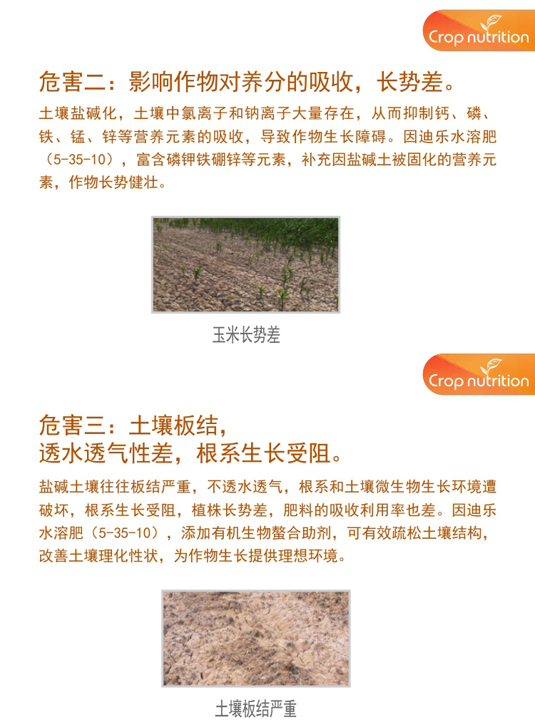 因迪樂(lè )有機鹽堿土調理水溶肥1_04.jpg 因迪樂(lè )有機鹽堿土調理水溶肥1_04.jpg