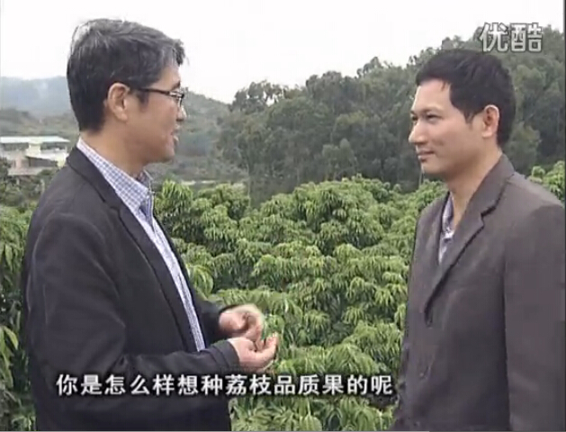 20160104珠江臺搖錢(qián)樹(shù)：補充所需微補營(yíng)養，種出品質(zhì)荔枝，提高收益賣(mài)價(jià)！