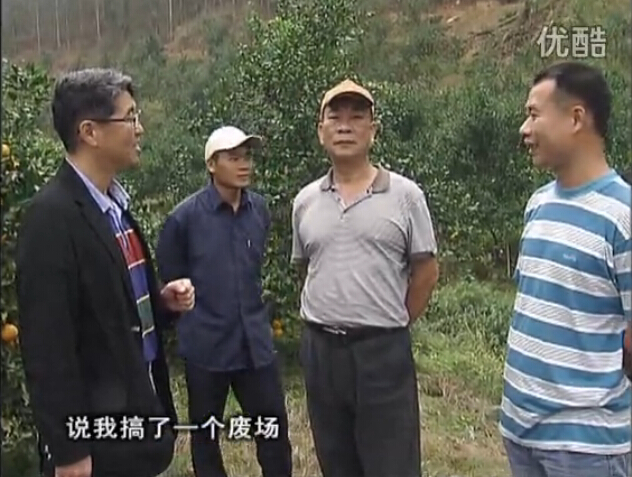 20160118珠江臺搖錢(qián)樹(shù)：貢柑用微補全年營(yíng)養方案，黃樹(shù)翻身還高產(chǎn)增果