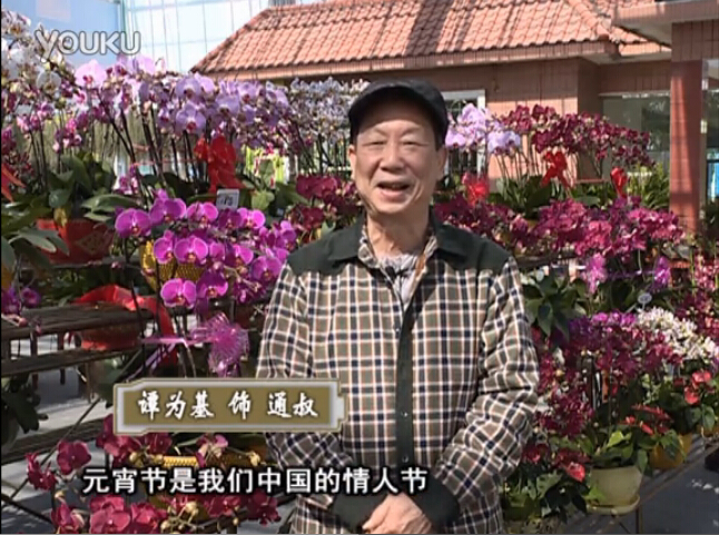 20160222珠江臺搖錢(qián)樹(shù)：用綠夫人營(yíng)養液，簡(jiǎn)單種花都能養得靚
