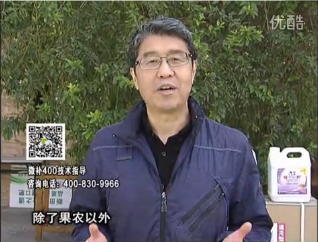 20160321珠江臺搖錢(qián)樹(shù)：柑橘用微補方案，百萬(wàn)收入不是夢(mèng)