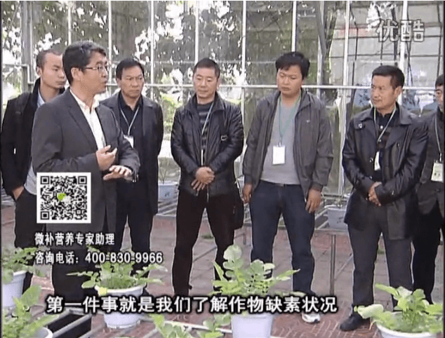 20160418珠江臺搖錢(qián)樹(shù)：和重慶種植業(yè)主走進(jìn)微補，探秘微補生產(chǎn)研發(fā)技術(shù)