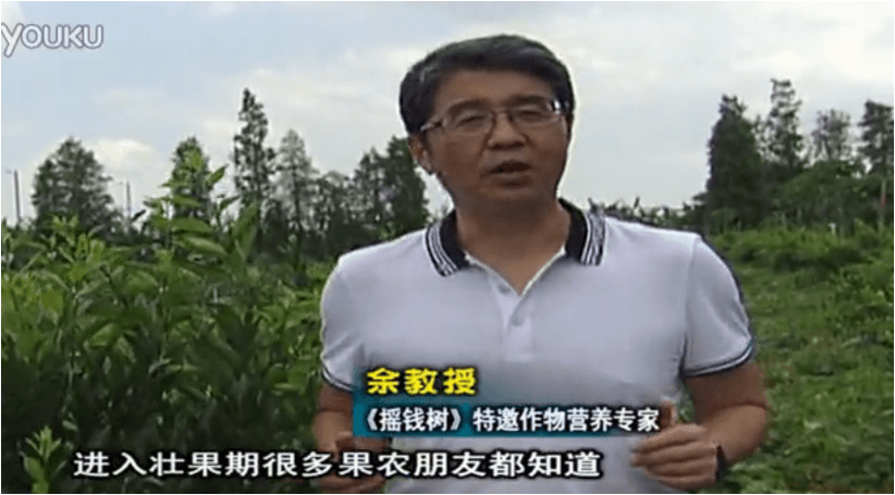 20160620珠江臺搖錢(qián)樹(shù)：柑橘淋微補調力、噴蓋力+壯力，調酸壯長(cháng)勢、膨果防裂好