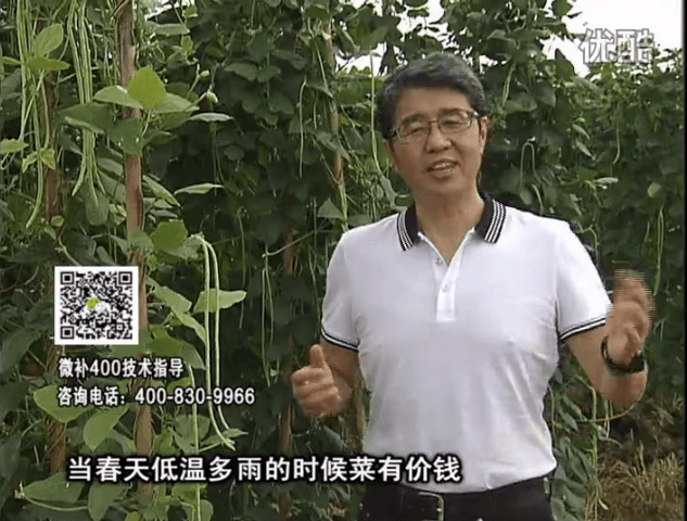 20160704珠江臺搖錢(qián)樹(shù)：蔬菜用微補方案，省肥藥又保產(chǎn)