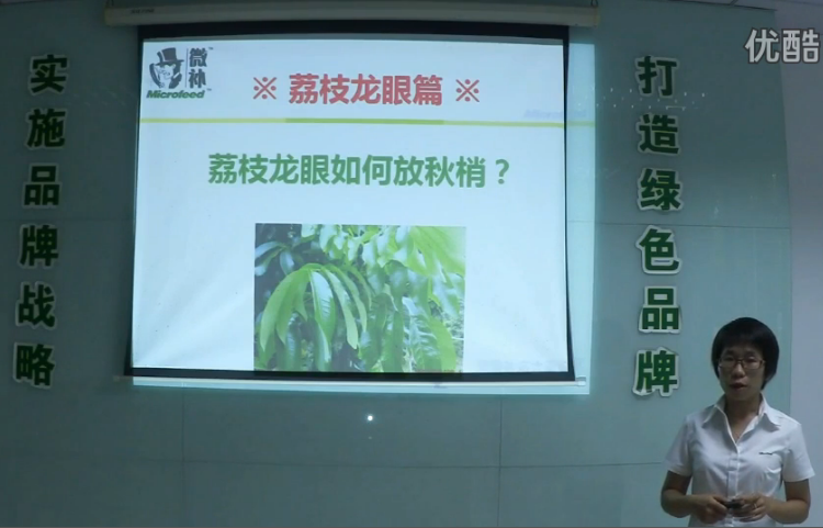 荔枝龍眼-采后樹(shù)弱、秋梢不壯怎么辦？請看微補講座