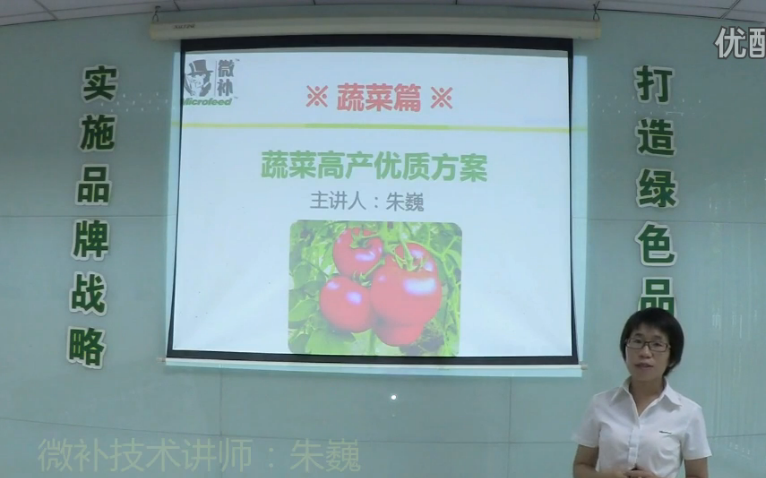 蔬菜-提苗壯長(cháng)、提高坐果高產(chǎn)方案.微補講座