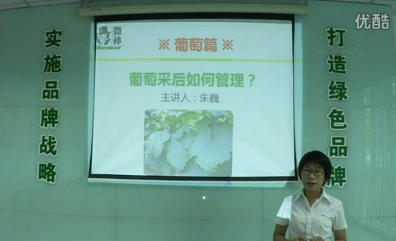葡萄-采后恢復樹(shù)勢、來(lái)年花芽分化好.微補講座