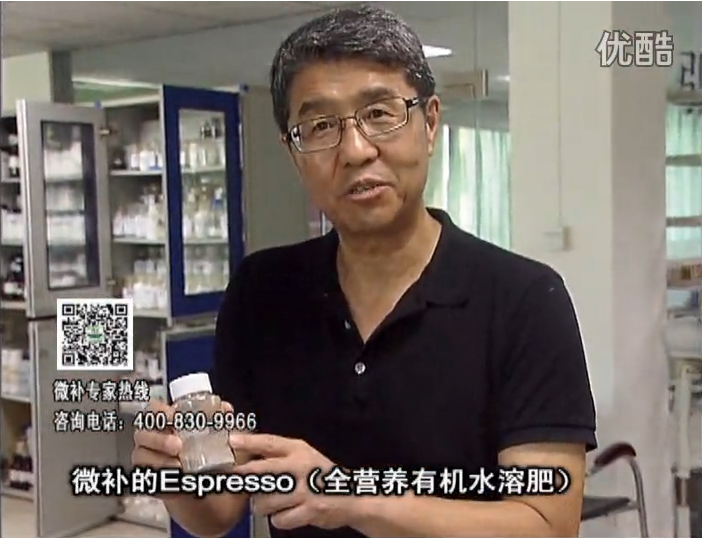 20160822珠江臺搖錢(qián)樹(shù)：柑橘秋梢淋沖因迪樂(lè )精華粉，補充有機營(yíng)養，健壯果樹(shù)