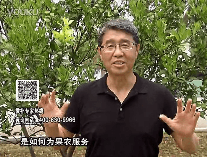 20160912珠江臺搖錢(qián)樹(shù)：針對果場(chǎng)面積、缺素營(yíng)養、設施管理、投入產(chǎn)出，微補做個(gè)性化定制服務(wù)
