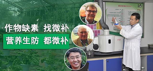 40年專注微肥技術(shù)