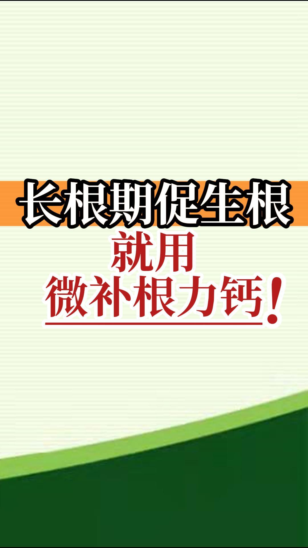 長(cháng)根期促生根就用微補根力鈣！