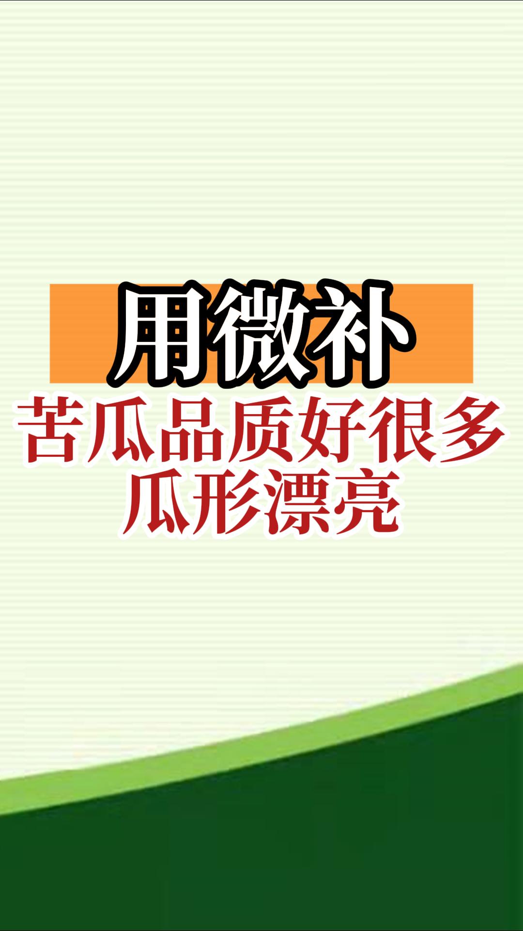 用微補，苦瓜品質(zhì)好很多，瓜形漂亮