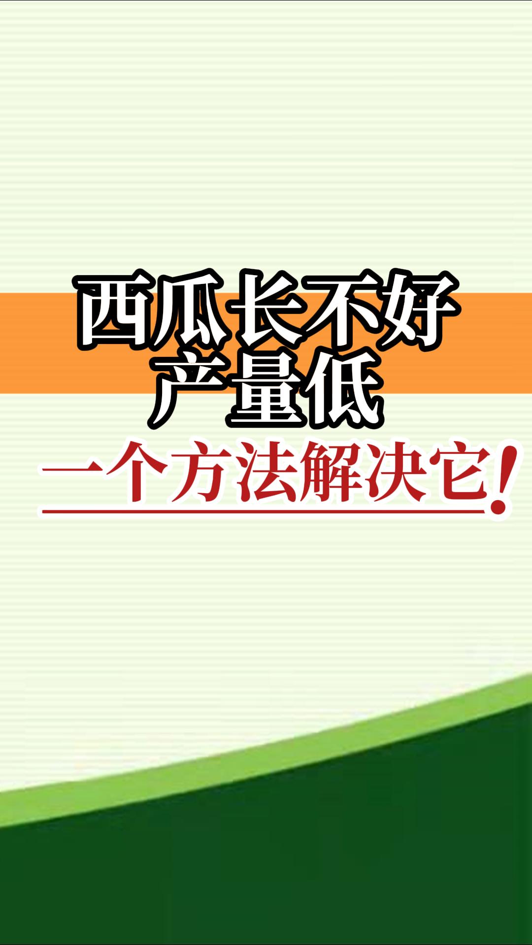 西瓜長(cháng)不好產(chǎn)量低？