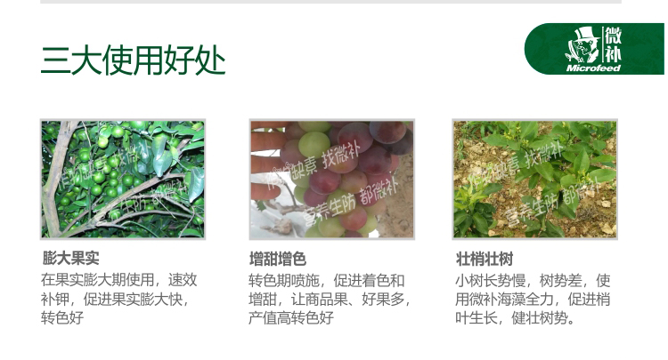 微補海藻全力